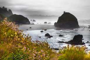 Moonstone Beach-9439 Moonstone Beach-9439